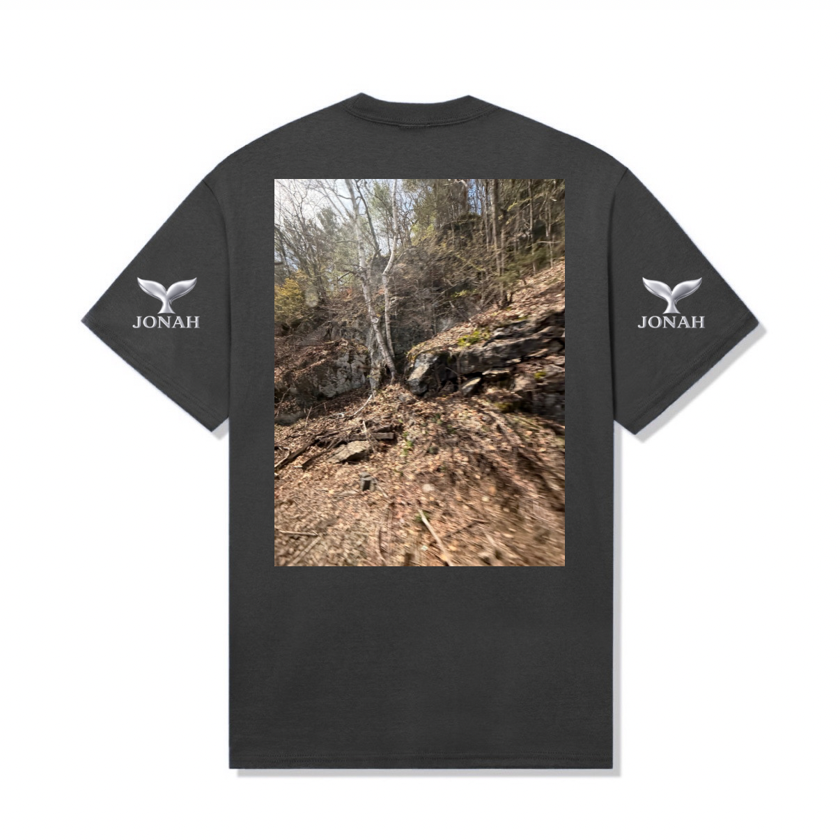 A005) T-shirt Wings (Putnam Rock)